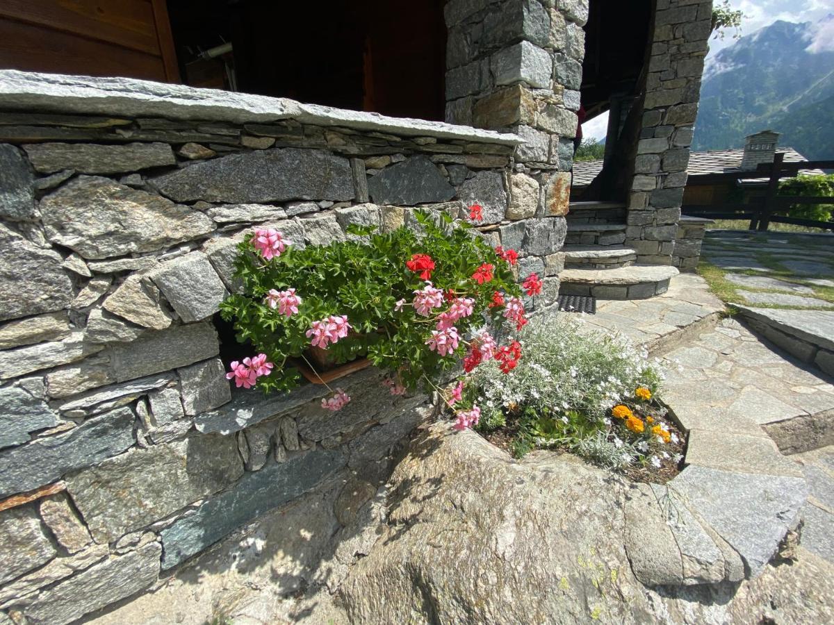 Chalet A Ceresole Reale Nel Parco Gran Paradiso Villa Exterior photo