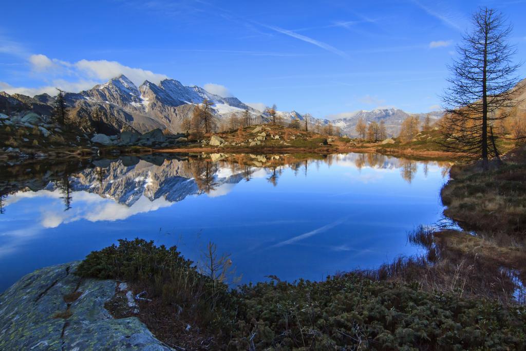 Chalet A Ceresole Reale Nel Parco Gran Paradiso Villa Exterior photo