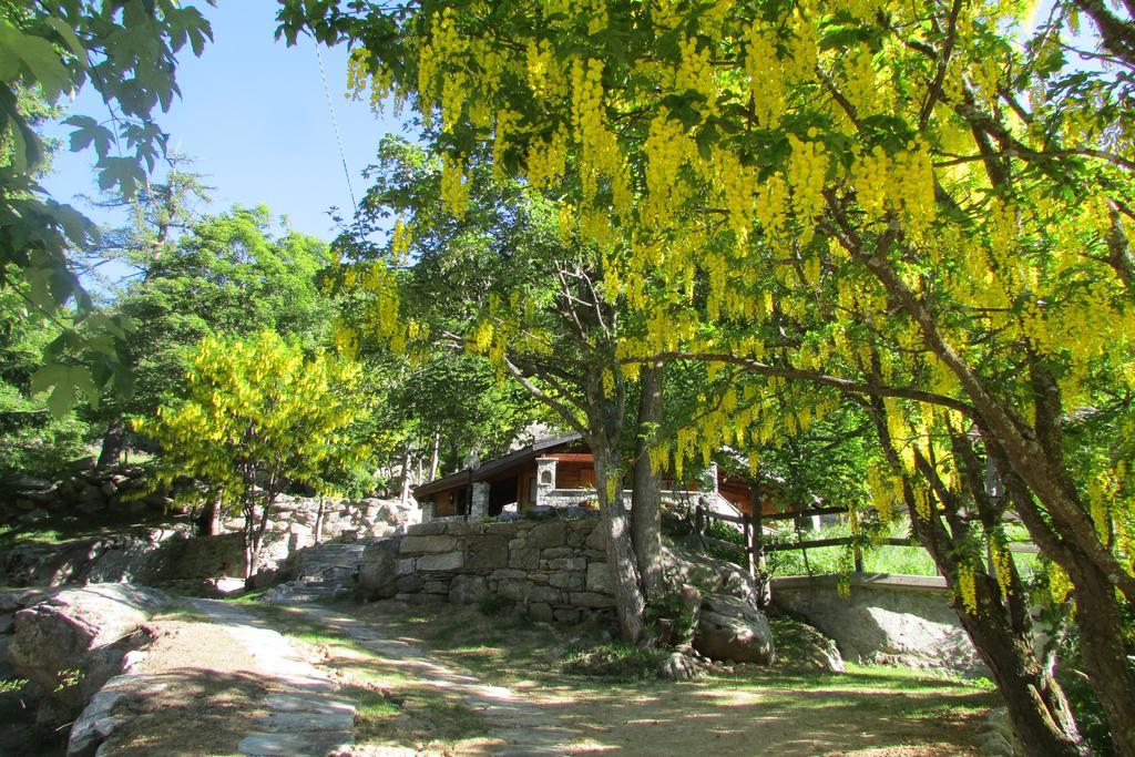 Chalet A Ceresole Reale Nel Parco Gran Paradiso Villa Exterior photo